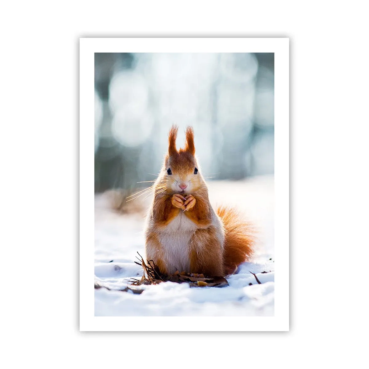 Póster - Ardilla en la nieve en el bosque invernal. - 50x70cm - ¿Qué estás mirando? - Decoración de pared moderna para salón y dormitorio ARTTOR