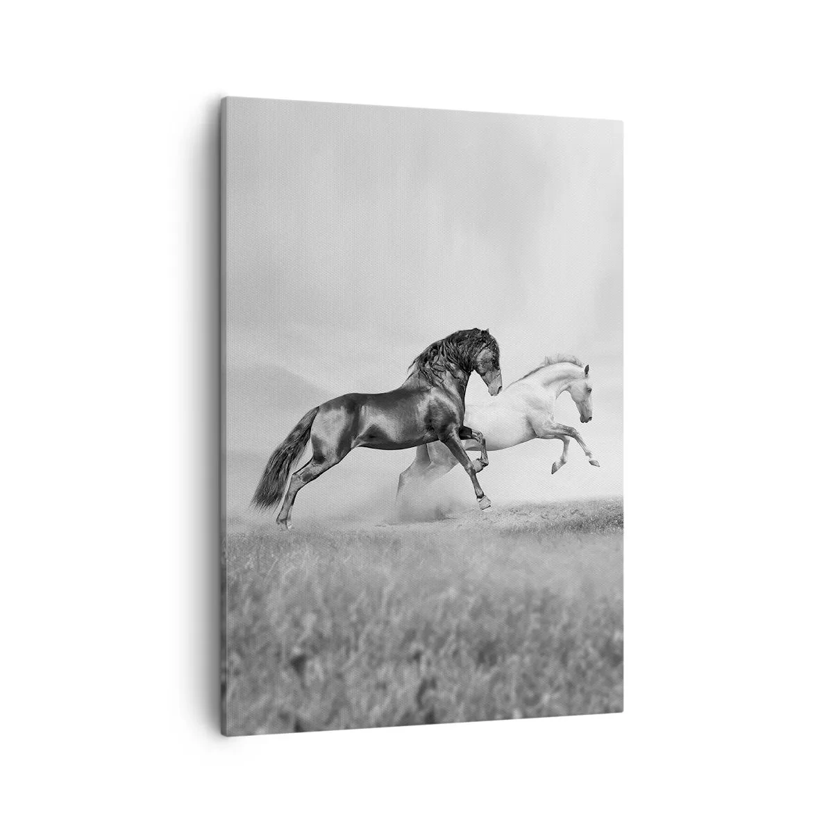 Cuadro sobre lienzo - Impresión de Imagen - Dos caballos al galope en una composición dinámica en blanco y negro - 50x70cm - Ángeles y demonios - Decoración de pared moderna para salón y dormitorio ARTTOR