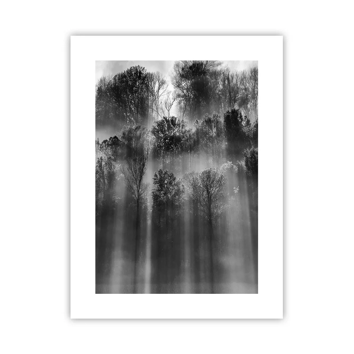 Póster - En los flujos de luz - 30x40 cm