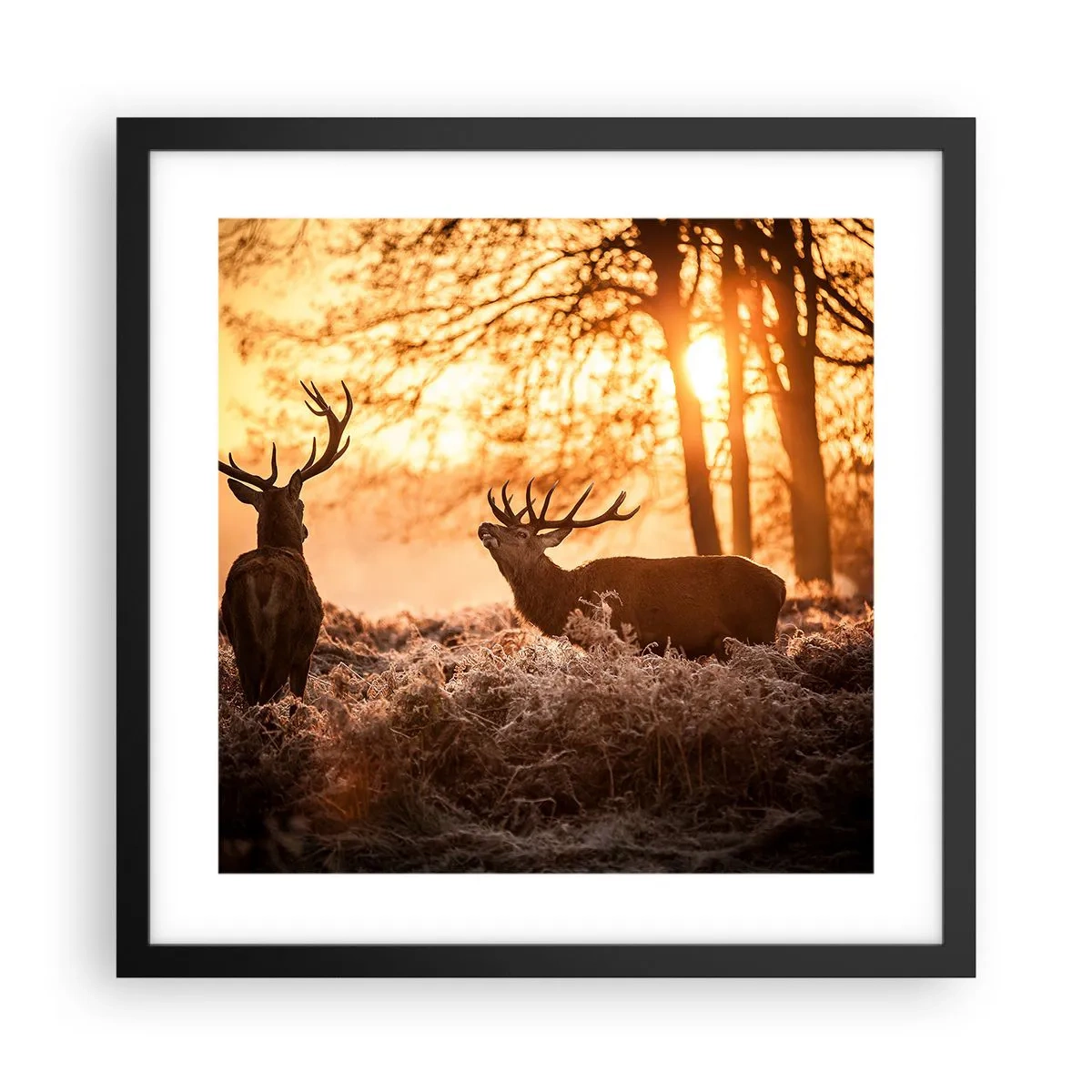 Póster en marco negro - El sueño de un cazador - 40x40 cm