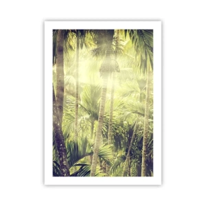 Póster - Bosque tropical con rayos de sol al fondo - 50x70cm - En el cálido verde - Decoración de pared moderna para salón y dormitorio ARTTOR
