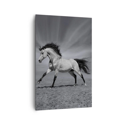Cuadro sobre lienzo - Impresión de Imagen - Un caballo blanco y negro en una pose dinámica en el desierto. - 80x120cm - Nacido para deleitar - Decoración de pared moderna para salón y dormitorio ARTTOR