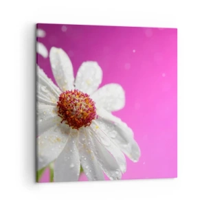 Cuadro sobre lienzo - Impresión de Imagen - Modesto en su belleza - 50x50 cm