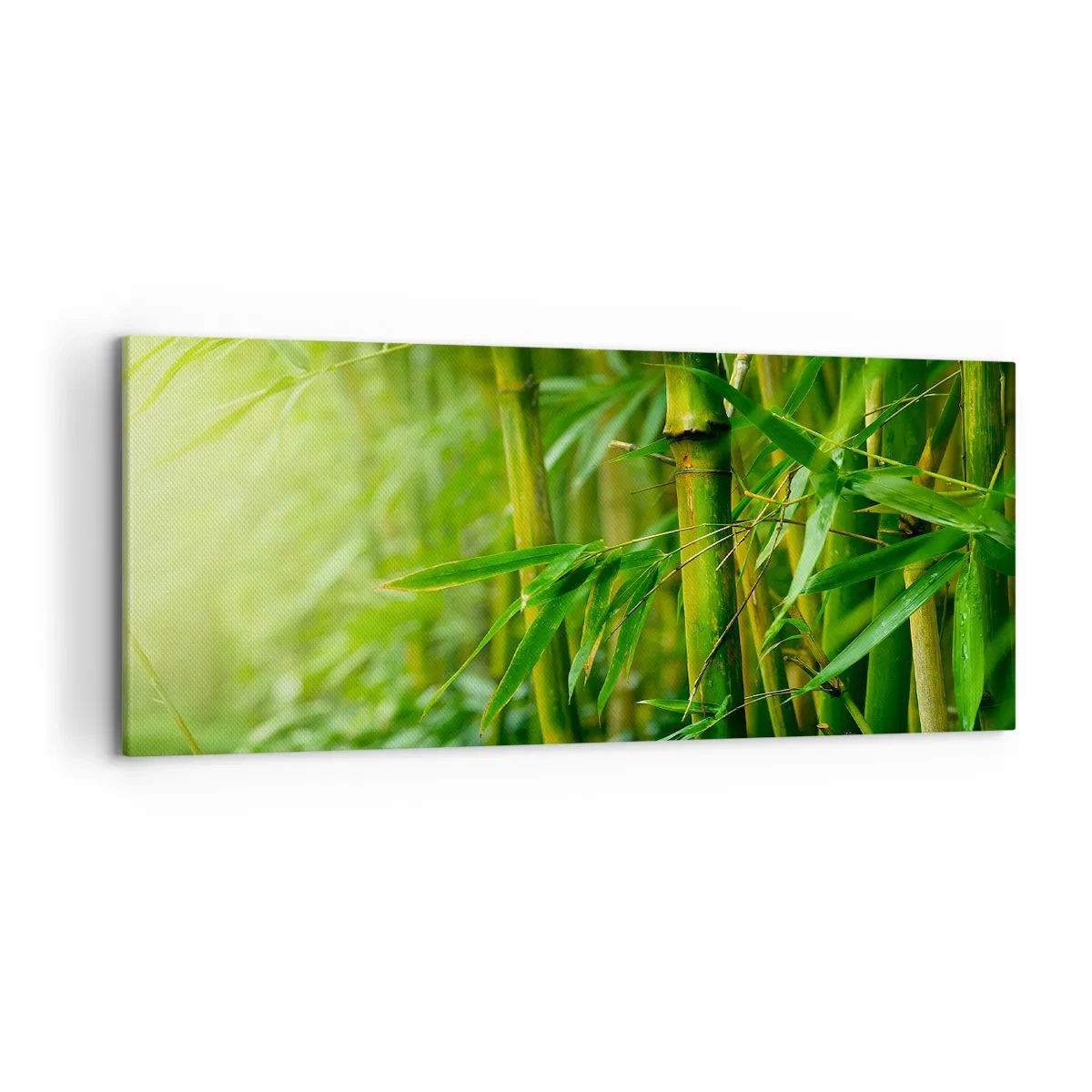 Cuadro sobre lienzo - Impresión de Imagen - Bosque de bambú verde bajo una luz suave - 120x50cm - Conocer el propio verdor - Decoración de pared moderna para salón y dormitorio ARTTOR