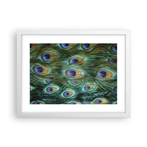 Póster en marco blanco - Mirada de pavo real - 40x30 cm
