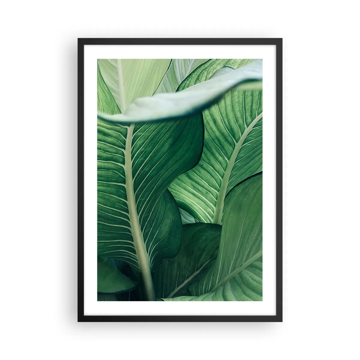 Póster en marco negro - Primer plano de las hojas verdes de una planta. - 50x70cm - Vida intensamente verde - Decoración de pared moderna para salón y dormitorio ARTTOR