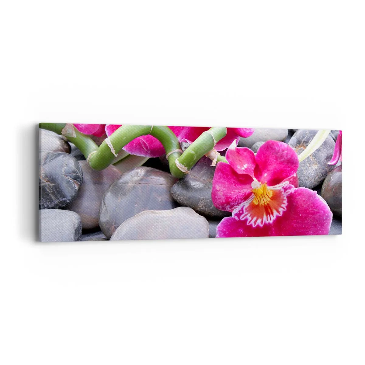 Cuadro sobre lienzo - Impresión de Imagen - Frío y calor - 90x30 cm