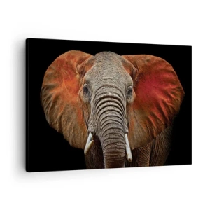 Cuadro sobre lienzo - Impresión de Imagen - Retrato de un elefante sobre fondo negro - 70x50cm - Soy salvaje, ¿y tú? - Decoración de pared moderna para salón y dormitorio ARTTOR