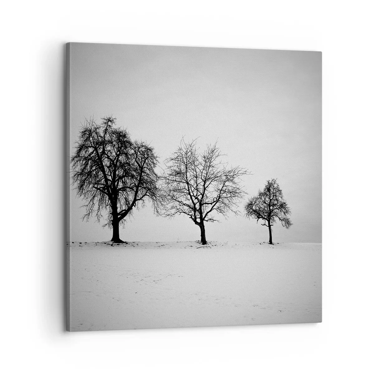 Cuadro sobre lienzo - Impresión de Imagen - ¿Con qué sueñan? - 60x60 cm