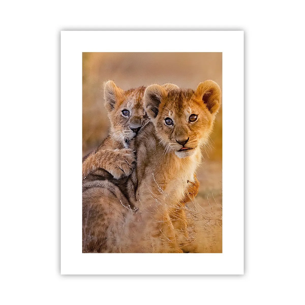 Póster - ¡No molestar! Nos estamos divirtiendo - 30x40 cm