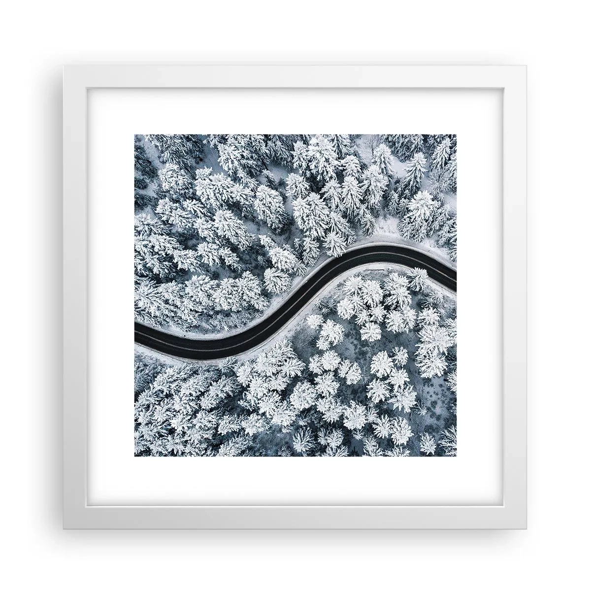 Póster en marco blanco - A través de un bosque invernal - 30x30 cm