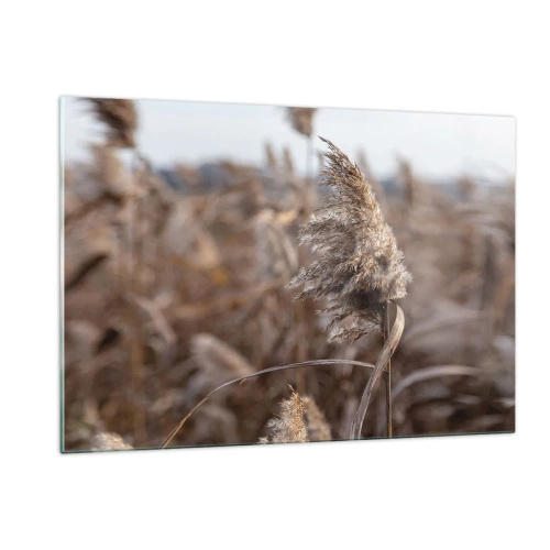 Cuadro sobre vidrio - Impresiones sobre Vidrio - Primer plano de hierba seca meciéndose con el viento - 120x80cm - Es hora de volar con el viento - Decoración de pared moderna para salón y dormitorio ARTTOR