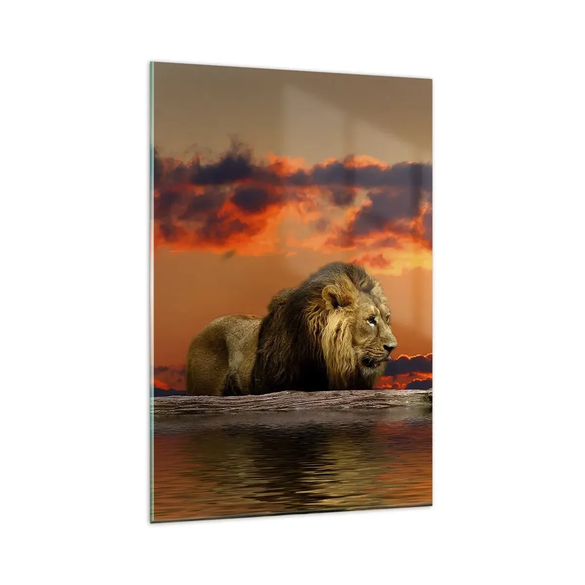 Cuadro sobre vidrio - Impresiones sobre Vidrio - Un león descansa junto al agua al atardecer con un cielo dramático. - 80x120cm - Rey de la naturaleza - Decoración de pared moderna para salón y dormitorio ARTTOR