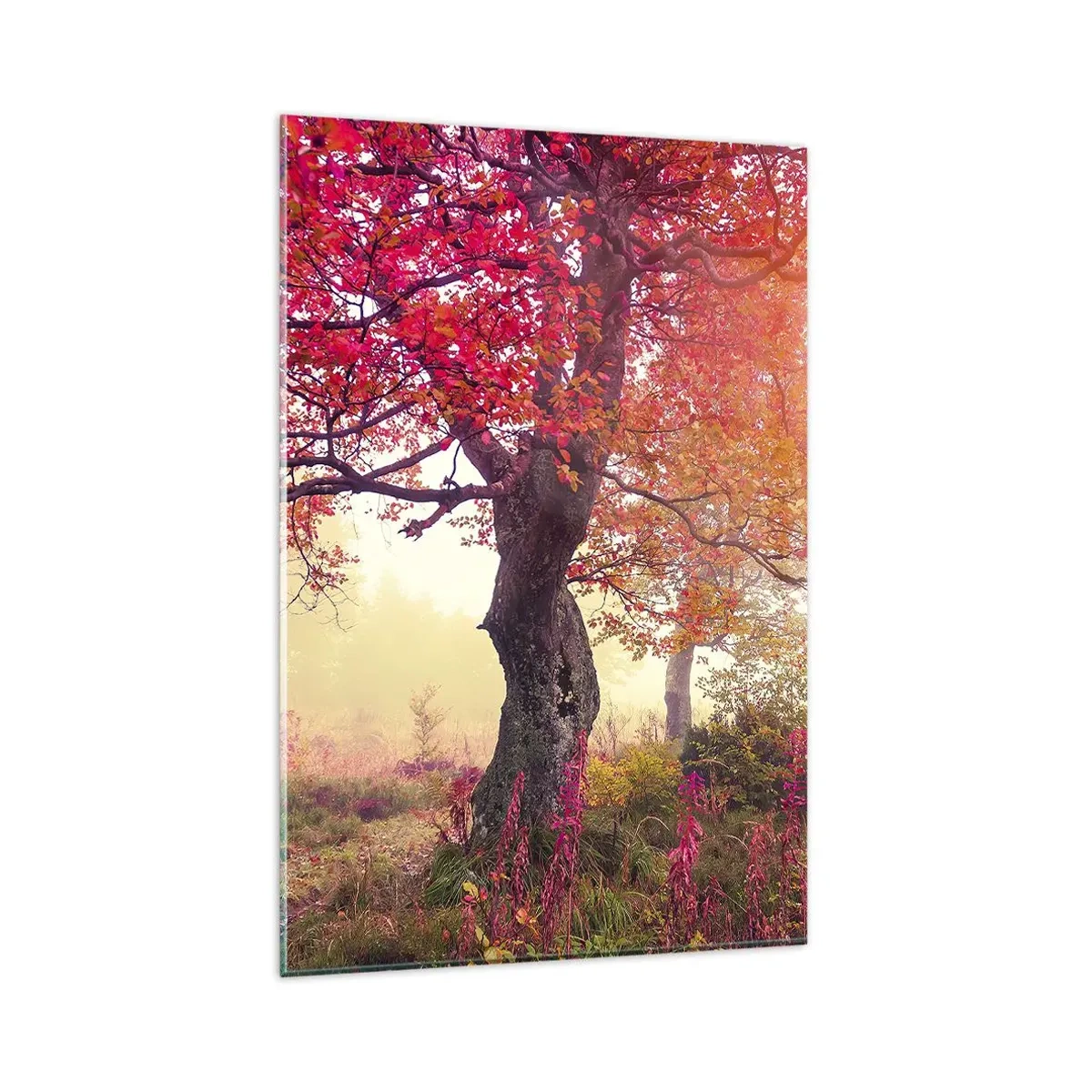 Cuadro sobre vidrio - Impresiones sobre Vidrio - Paisaje otoñal con árboles de colores intensos. - 80x120cm - Un frenesí de floración - Decoración de pared moderna para salón y dormitorio ARTTOR