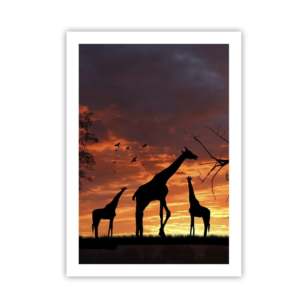 Póster - Siluetas de jirafas al atardecer - 50x70cm - Una pequeña cena con tus seres queridos - Decoración de pared moderna para salón y dormitorio ARTTOR