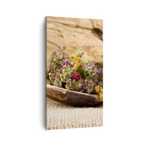 Cuadro sobre lienzo - Impresión de Imagen - Flores coloridas y hierbas aromáticas - 45x80 cm