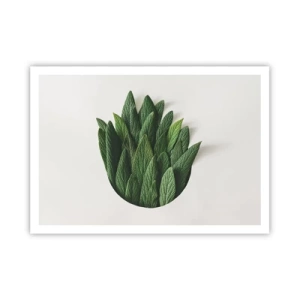 Póster - Una composición de hojas verdes sobre un fondo claro. - 100x70cm - Curiosidad desenfrenada - Decoración de pared moderna para salón y dormitorio ARTTOR