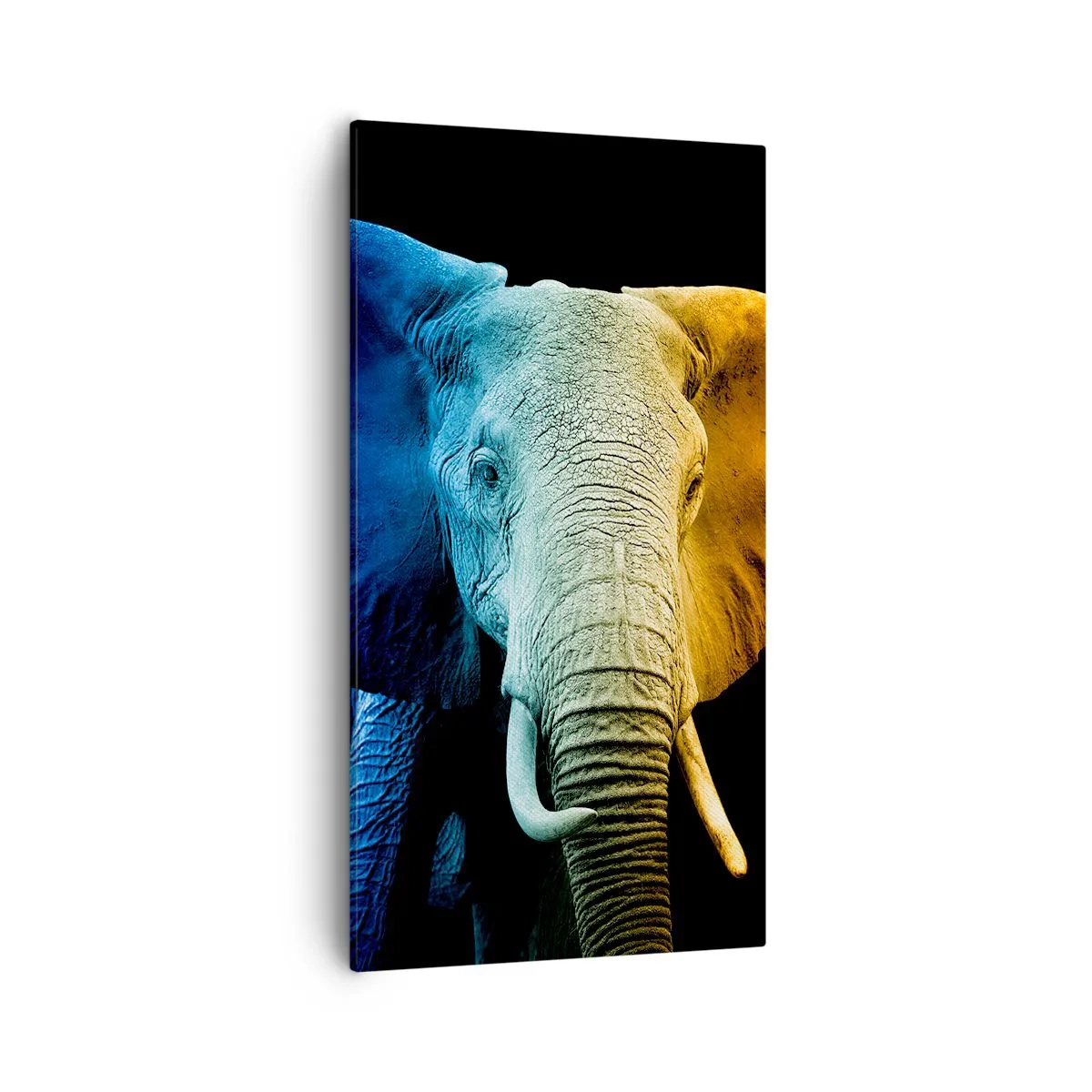 Cuadro sobre lienzo - Impresión de Imagen - Excéntrico, no un bicho raro - 55x100 cm