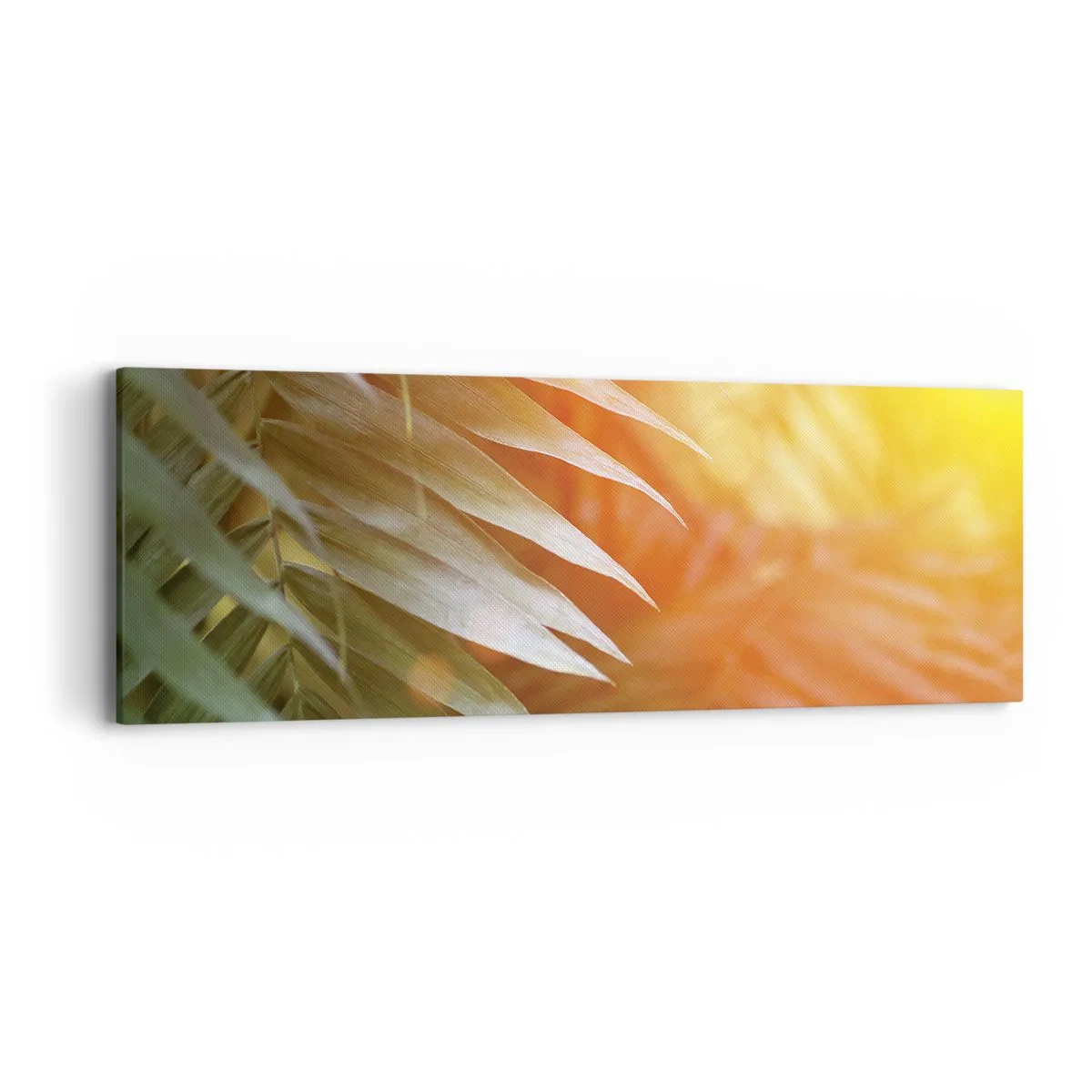 Cuadro sobre lienzo - Impresión de Imagen - Mañana en la selva - 90x30 cm