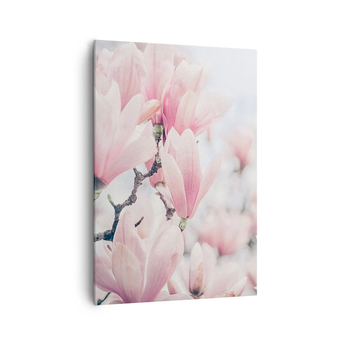 Cuadro sobre lienzo - Impresión de Imagen - Sutiles flores de magnolia en delicados tonos rosados. - 70x100cm - La perfección de la sutileza - Decoración de pared moderna para salón y dormitorio ARTTOR