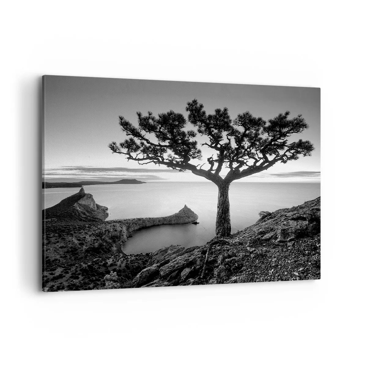 Cuadro sobre lienzo - Impresión de Imagen - Paisaje en blanco y negro con un árbol solitario en un acantilado sobre el mar. - 120x80cm - Calma hasta el horizonte - Decoración de pared moderna para salón y dormitorio ARTTOR