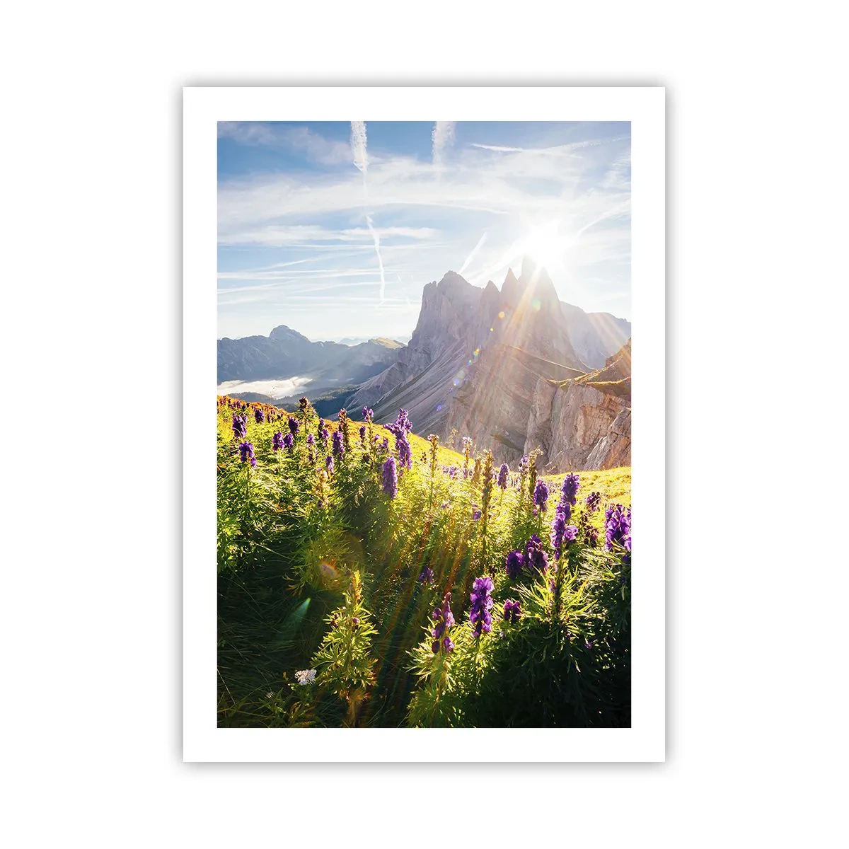 Póster - Un paisaje de montaña con un prado lleno de flores al amanecer. - 50x70cm - La vida secreta de las hierbas - Decoración de pared moderna para salón y dormitorio ARTTOR