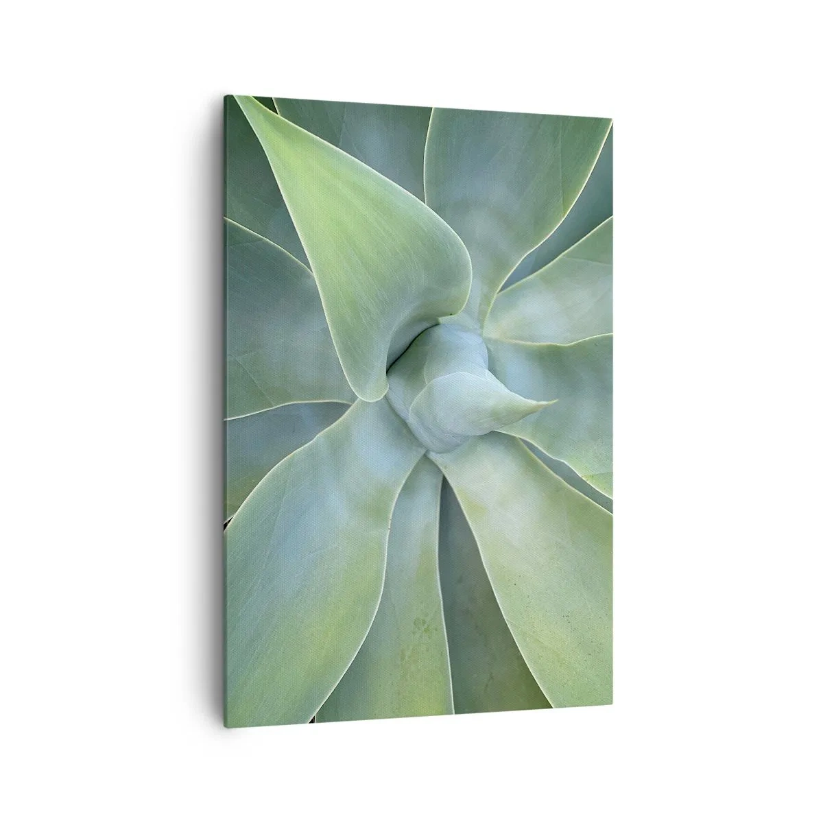 Cuadro sobre lienzo - Impresión de Imagen - Hojas sutiles de agave en tonos verdes. - 70x100cm - El nacimiento del verde - Decoración de pared moderna para salón y dormitorio ARTTOR