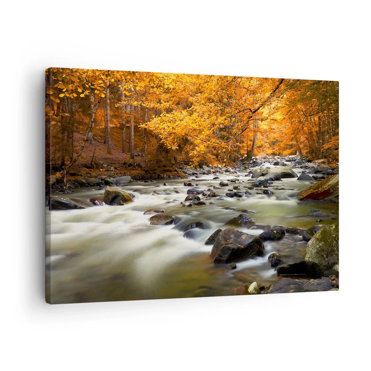 Cuadro sobre lienzo - Impresión de Imagen - Un arroyo en un bosque otoñal rodeado de hojas doradas. - 70x50cm - Un arroyo en un bosque dorado - Decoración de pared moderna para salón y dormitorio ARTTOR