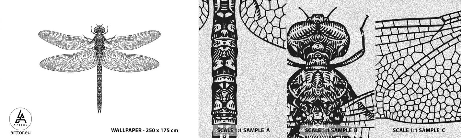 Muestra de fotomural Premium Sand - Precisión de la naturaleza - Libélula, Insecto, minimalista - 100x30 cm