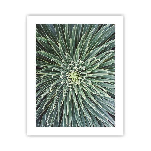 Póster - El nacimiento de una estrella - 40x50 cm