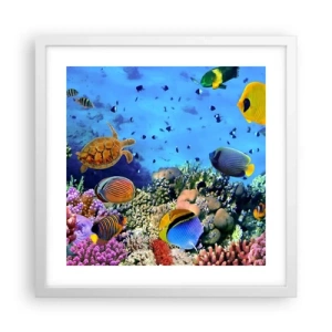 Póster en marco blanco - Y qué sabemos de la vida... - 40x40 cm