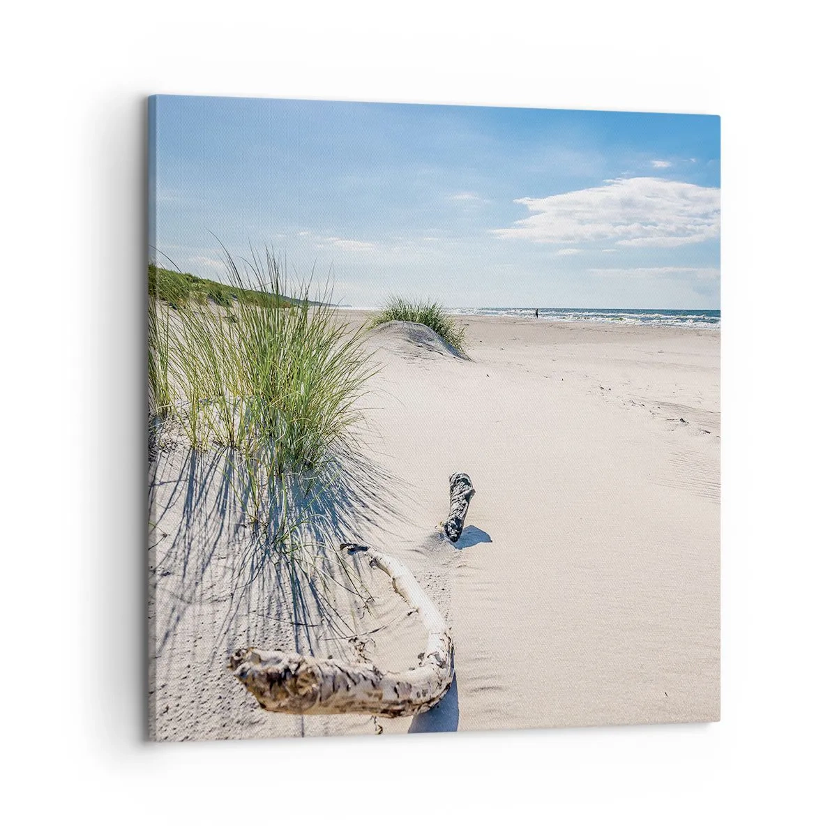 Cuadro sobre lienzo - Impresión de Imagen - ¿La más bella? Báltico - 60x60 cm