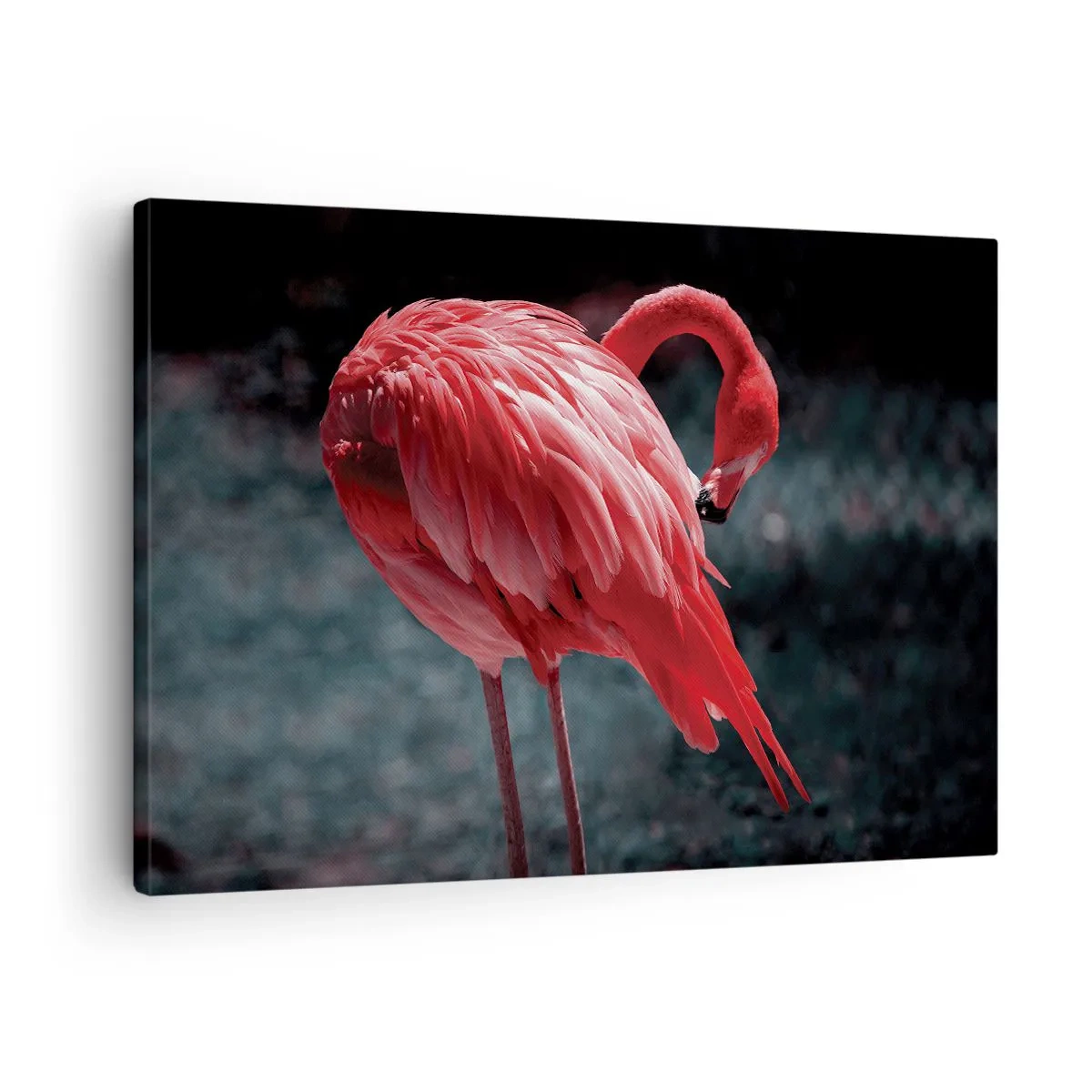 Cuadro sobre lienzo - Impresión de Imagen - Un flamenco rosa sobre un fondo verde oscuro. - 70x50cm - Un poema carmesí de la naturaleza - Decoración de pared moderna para salón y dormitorio ARTTOR