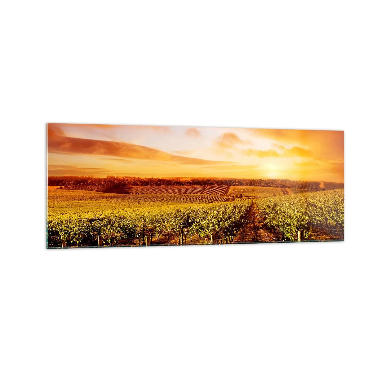 Cuadro sobre vidrio - Impresiones sobre Vidrio - Viñedo al atardecer con tonos cálidos del cielo. - 140x50cm - Delicadamente afrutado con un toque de sol - Decoración de pared moderna para salón y dormitorio ARTTOR