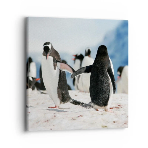 Cuadro sobre lienzo - Impresión de Imagen - Bailando en la nieve - 40x40 cm