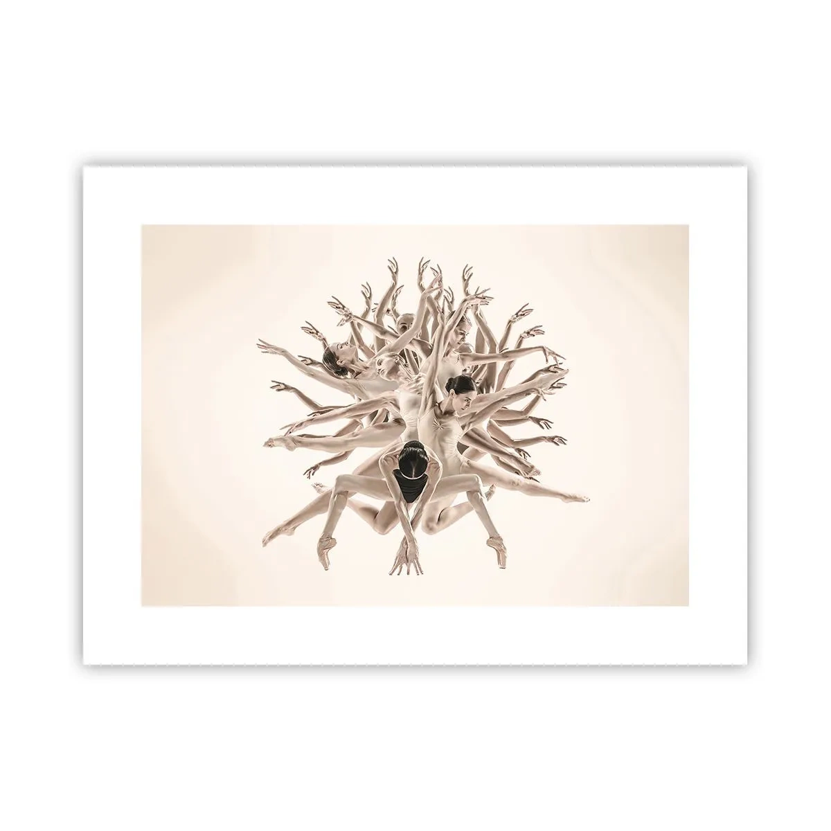 Póster - Floreciendo en la danza - 40x30 cm