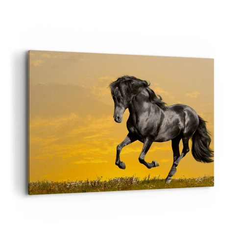 Cuadro sobre lienzo - Impresión de Imagen - Un caballo negro galopa contra el fondo de una puesta de sol dorada. - 100x70cm - Hermoso, libre y salvaje - Decoración de pared moderna para salón y dormitorio ARTTOR