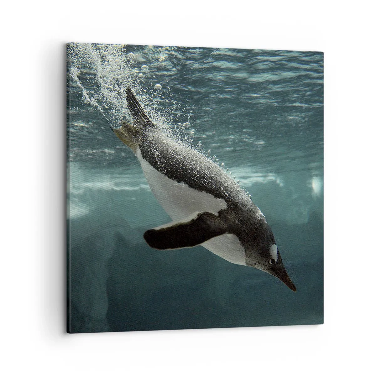 Cuadro sobre lienzo - Impresión de Imagen - Bienvenido a mi mundo - 50x50 cm