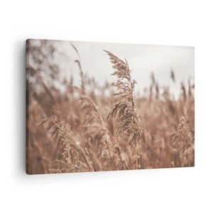 Cuadro sobre lienzo - Impresión de Imagen - Hierbas doradas con el paisaje otoñal como telón de fondo - 70x50cm - El otoño ya está en los campos - Decoración de pared moderna para salón y dormitorio ARTTOR