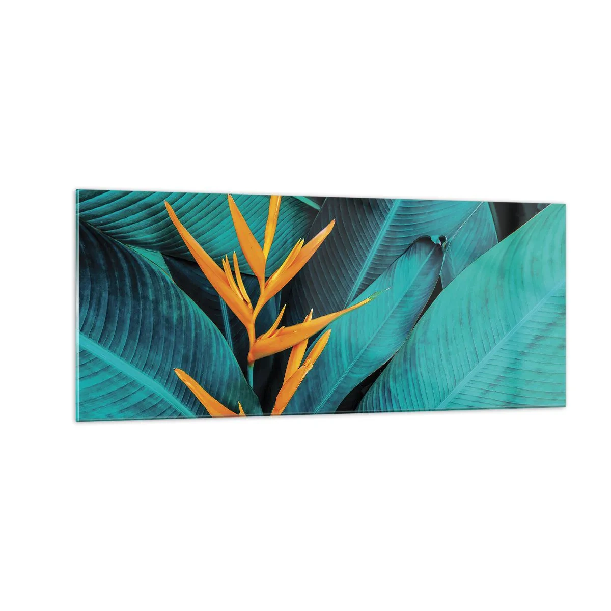Cuadro sobre vidrio - Impresiones sobre Vidrio - Flor del Edén - 100x40 cm