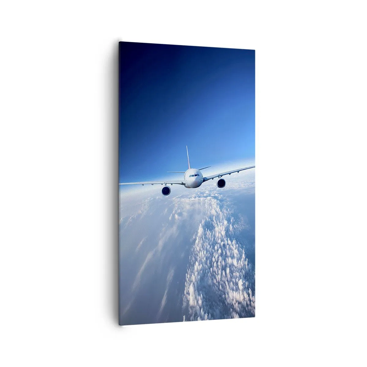 Cuadro sobre lienzo - Impresión de Imagen - Vuelo porque quiero - 65x120 cm