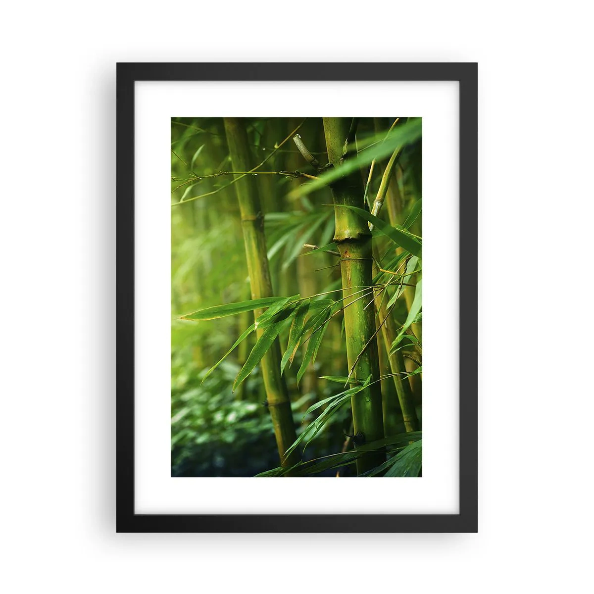 Póster en marco negro - Conocer el propio verdor - 30x40 cm