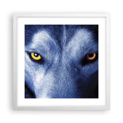 Póster en marco blanco - La mirada hipnótica - 40x40 cm