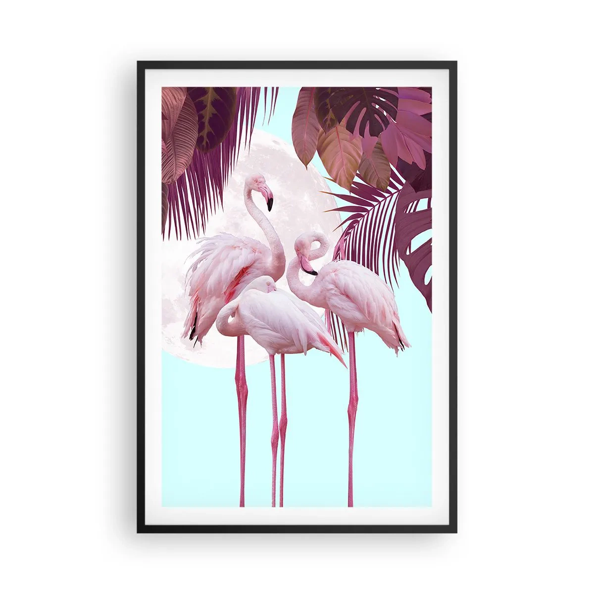 Póster en marco negro - La grandeza de las aves - 61x91 cm