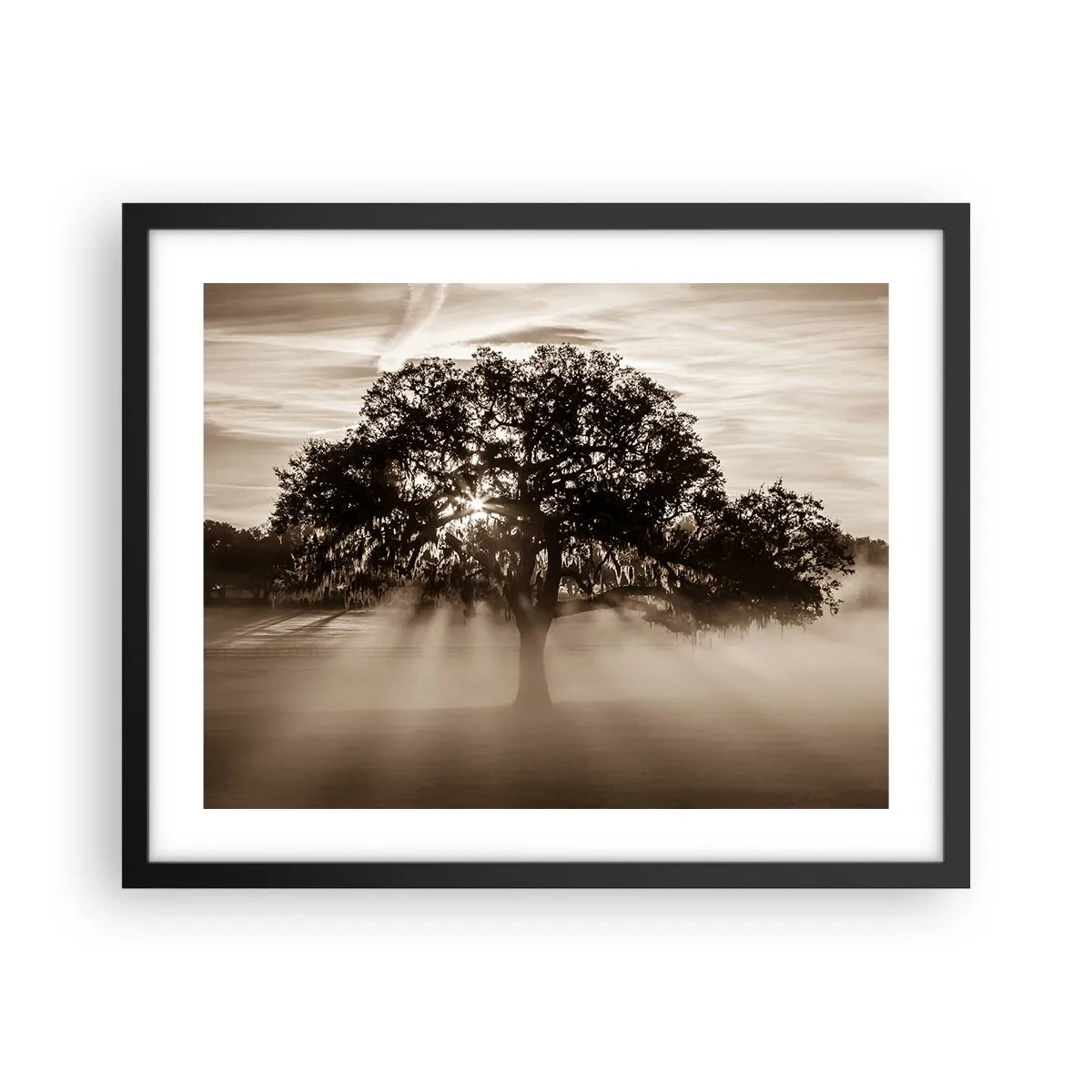 Póster en marco negro - Un árbol de buenas noticias  - 50x40 cm