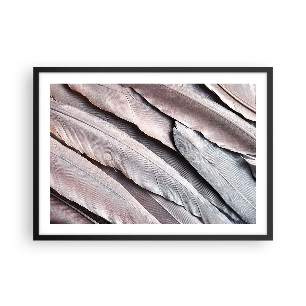 Póster en marco negro - Plumas delicadas en sutiles tonos de gris y beige. - 70x50cm - En rosa plateado - Decoración de pared moderna para salón y dormitorio ARTTOR