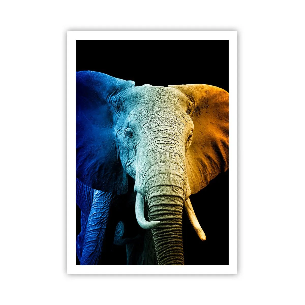 Póster - Excéntrico, no un bicho raro - 70x100 cm