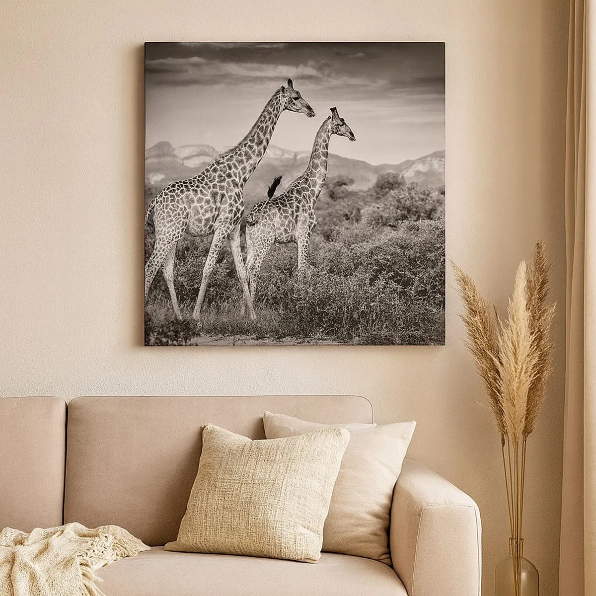 Cuadro sobre lienzo - Impresión de Imagen - La clase alta de África - 30x30 cm