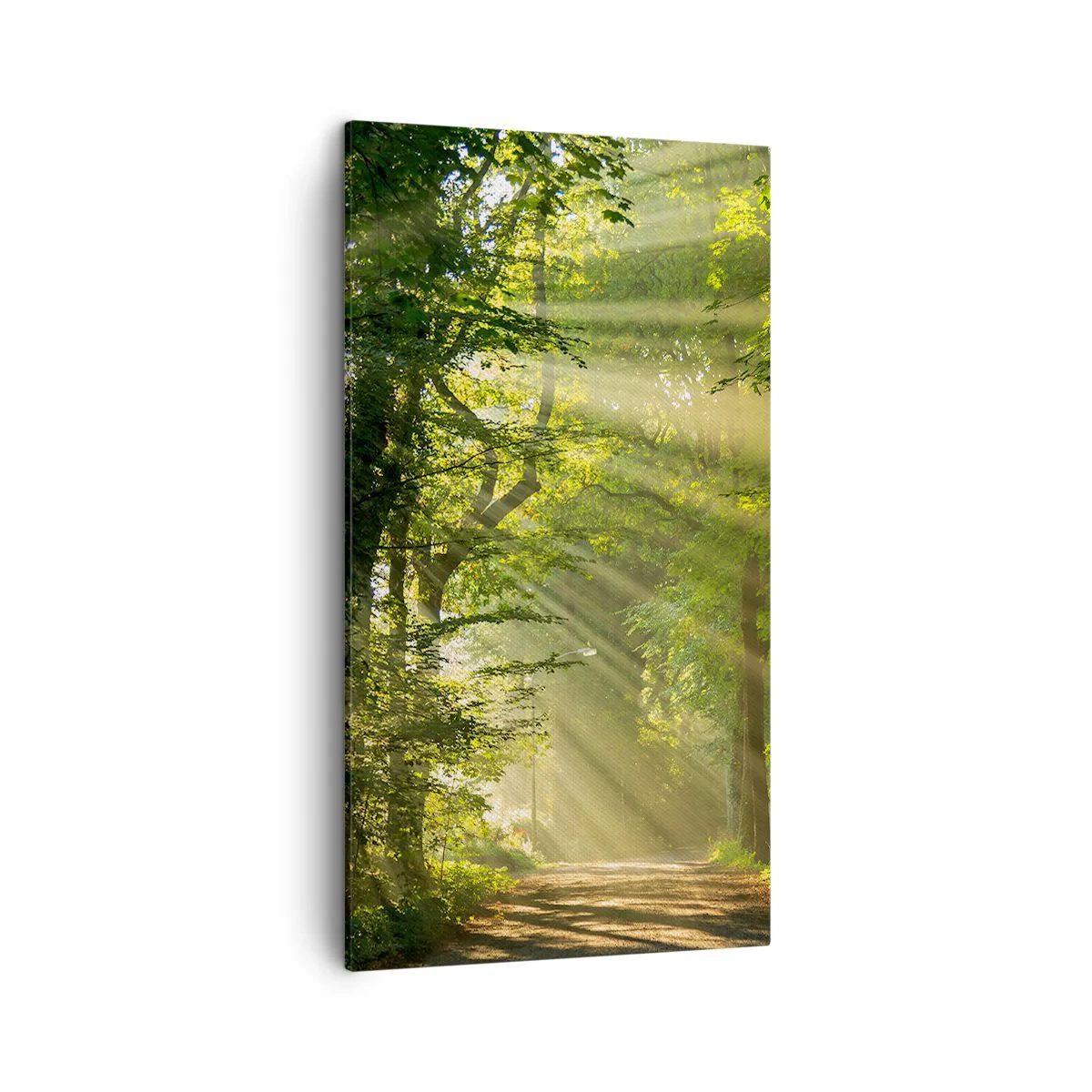 Cuadro sobre lienzo - Impresión de Imagen - Un momento en el bosque - 45x80 cm