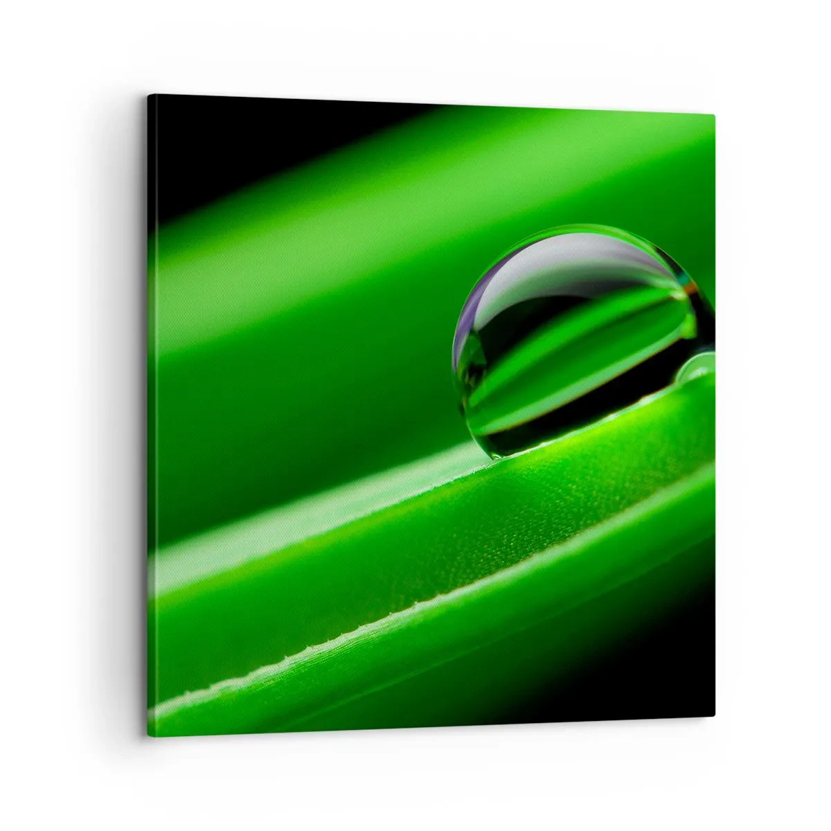 Cuadro sobre lienzo - Impresión de Imagen - La vida de cerca - 60x60 cm